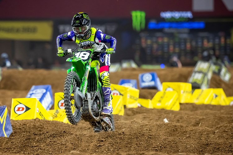 Gordon in Glendale